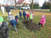 Výsadba u MŠ 2015 - sponzorováno firmou PAJR s.r.o.Vlkava